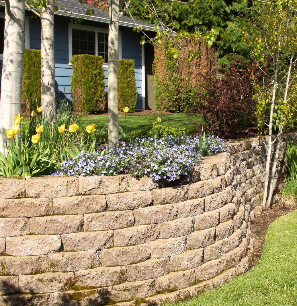 Raised stone flower bed with yellow tulips and blue flowers in front of a house with green shrubs and trees.